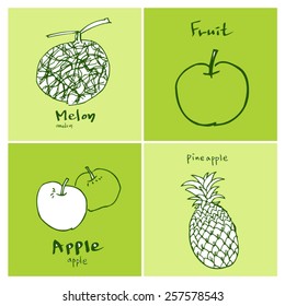Vegetable and fruit illustrations / Hand drawn food ingredients - vector
