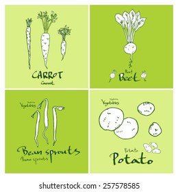 Vegetable and fruit illustrations / Hand drawn food ingredients - vector