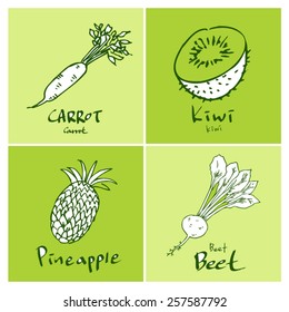 Vegetable and fruit illustrations / Hand drawn food ingredients - vector