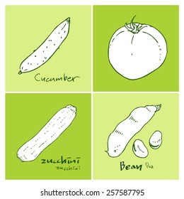 Vegetable and fruit illustrations / Hand drawn food ingredients - vector
