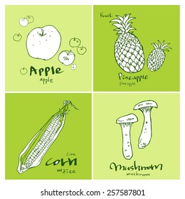 Vegetable and fruit illustrations / Hand drawn food ingredients - vector