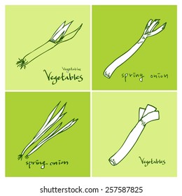 Vegetable and fruit illustrations / Hand drawn food ingredients - vector