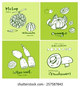 Vegetable and fruit illustrations / Hand drawn food ingredients - vector