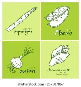 Vegetable and fruit illustrations / Hand drawn food ingredients - vector