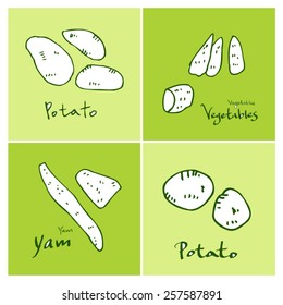 Vegetable and fruit illustrations / Hand drawn food ingredients - vector