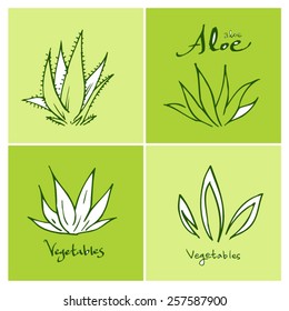 Vegetable and fruit illustrations / Hand drawn food ingredients - vector