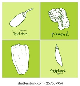 Vegetable and fruit illustrations / Hand drawn food ingredients - vector