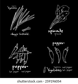 Vegetable and fruit illustrations / Hand drawn food ingredients - vector