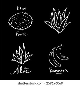 Vegetable and fruit illustrations / Hand drawn food ingredients - vector