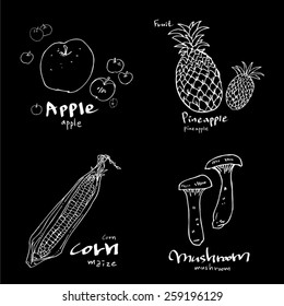 Vegetable and fruit illustrations / Hand drawn food ingredients - vector