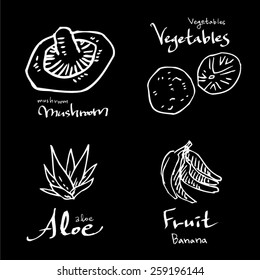 Vegetable and fruit illustrations / Hand drawn food ingredients - vector