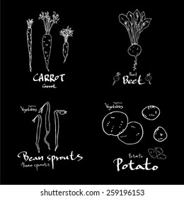 Vegetable and fruit illustrations / Hand drawn food ingredients - vector