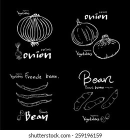 Vegetable and fruit illustrations / Hand drawn food ingredients - vector