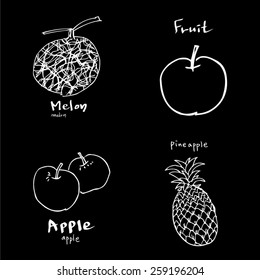 Vegetable and fruit illustrations / Hand drawn food ingredients - vector