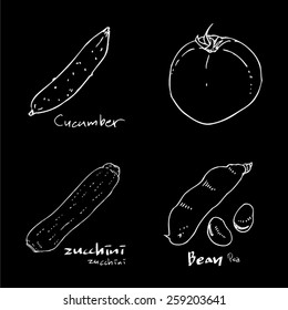 Vegetable and fruit illustrations / Hand drawn food ingredients - vector