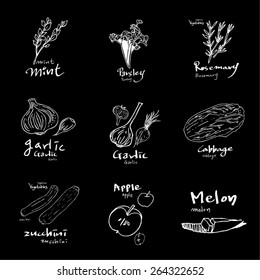 Vegetable and fruit illustrations / Hand drawn food ingredients - vector
