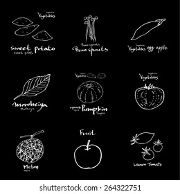 Vegetable and fruit illustrations / Hand drawn food ingredients - vector