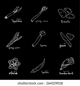 Vegetable and fruit illustrations / Hand drawn food ingredients - vector