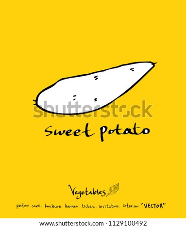 Vegetable and fruit illustrations / Hand drawn food ingredients - vector