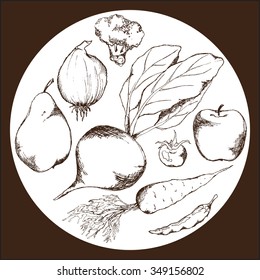 Vegetable fruit monochrome ink hand drawn set vector