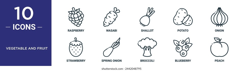 vegetable and fruit outline icon set includes thin line raspberry, wasabi, shallot, potato, onion, strawberry, spring onion icons for report, presentation, diagram, web design