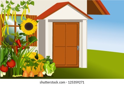 Vegetable garden