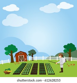 Vegetable garden