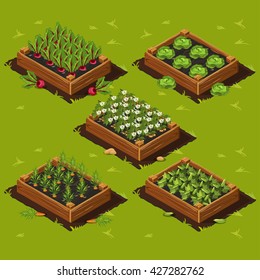 Vegetable Garden Box with potatoes, beets, cabbage, carrots and cucumbers