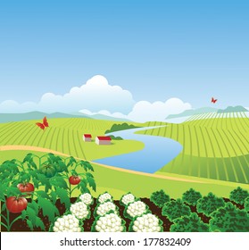 Vegetable Garden Rows High Res Stock Images Shutterstock