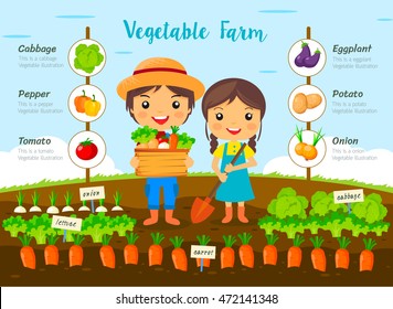 Vegetable garden farm, farmers Harvest on farm, cartoon characters vector design, info graphic
