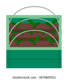 Vegetable garden flat vector illustration. Plants in the garden bed. Vegetable plant with green large leaves. Growing plants for a healthy diet cabbage, salad, spinach. Urban agriculture concept