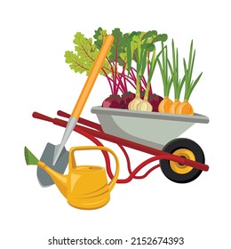 vegetable garden. Gardening concept. Organic and healthy food. A set of isolated vegetables. vector illustration. Vegetables in a garden wheelbarrow. Onion, beetroot, garlic. Growing ecological 