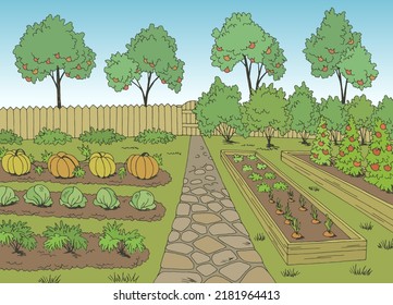 Vegetable garden graphic color landscape sketch illustration vector