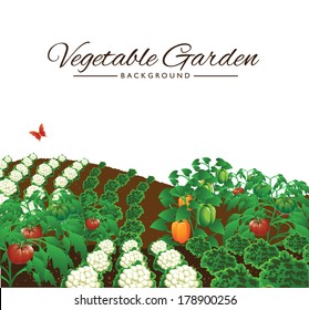 Vegetable Garden Isolated Background EPS 10 Vector, Grouped For Easy Editing. No Open Shapes Or Paths.