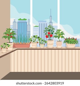 Vegetable garden on a balcony in a big city. Growing vegetables and berries at home on a balcony or windowsill. Vector illustration.