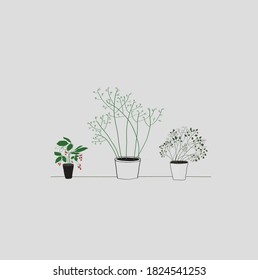 vegetable garden on the window. ecological food. line drawing