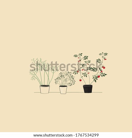 vegetable garden on the window. ecological food. line drawing
