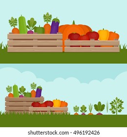 Vegetable garden. Organic and healthy food.  Fresh vegetables in a box. Banner with vegetable. Flat style, vector illustration. 
