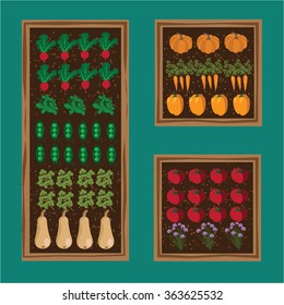Vegetable garden planner flat design. EPS 10 vector stock illustration
