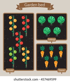 Vegetable garden planner flat design.Beds with cabbage, carrots, tomatoes