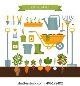 Vegetable garden. Garden tools. Flat style, vector illustration.