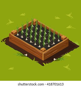 Vegetable Garden Wooden Box with Garlic Set 10