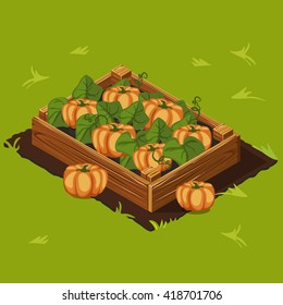 Vegetable Garden Wooden Box with Pumpkin. Set 8