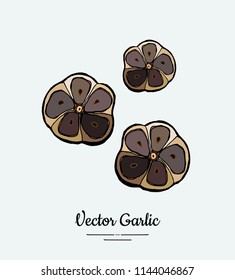 Vegetable garlic black cloves chopped. Hipster hand drawn vector illustration of garlic chop. Hand drawn isolated black garlic for restaurant menu, vegetarian poster, logo, icon, sticker, farm shop.