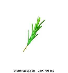 Vegetable grass. Vector 3D illustration showing a branch of rosemary. This culinary spicy ingredient is presented in a cartoon style on an isolated background for design use.