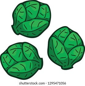 Vegetable - Green Brusselsprout 