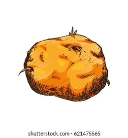 Vegetable hand draw
