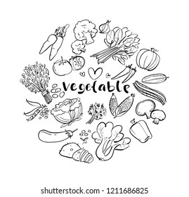 vegetable hand drawn