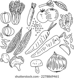 vegetable hand drawn black and white