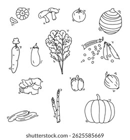 Vegetable Hand Drawn Outline set that you can use as an illustration, kids colouring book, create outline background, menu or etc.